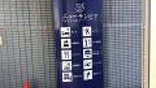 ニューサンピア