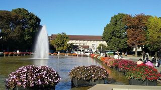 大好きな美術館と博物館のプロムナード「上野公園」