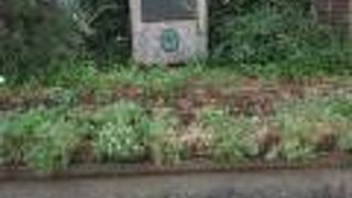 かなりのひっそり感