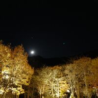 中庭からの景色（夜）。月と星空が良く見えました。