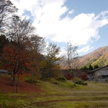 中庭の景色（昼）。季節や時間ごとに変化する景色もまた魅力。