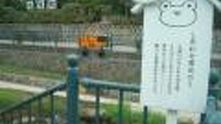 勾玉島の中心を触ると幸運が！？