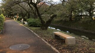 富山城址公園近く