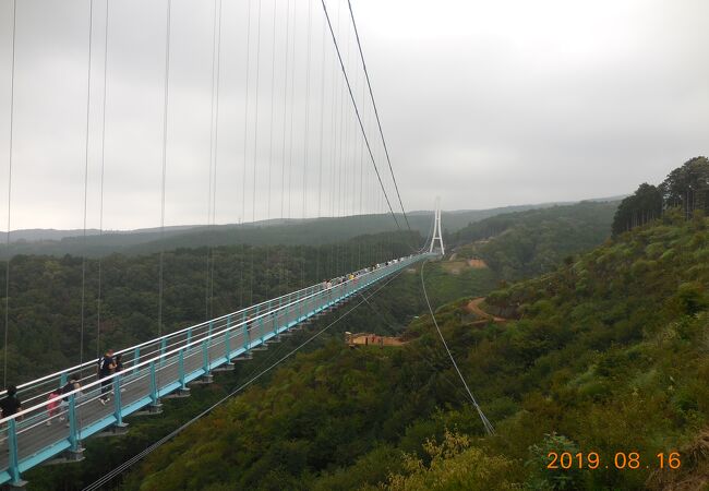 三島スカイウォーク クチコミ アクセス 営業時間 三島 フォートラベル