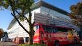 フリースローの見易い座席で観戦