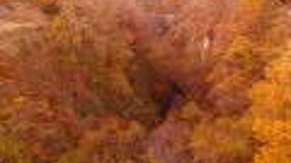 深い谷を彩る紅葉