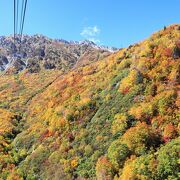 壮大な紅葉風景に感動