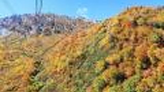 壮大な紅葉風景に感動