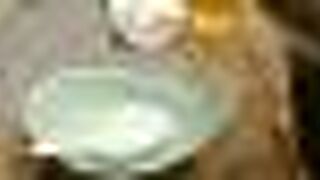 ふく・長州料理 KATSUMOTO