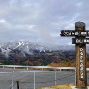 初雪と紅葉のコラボ