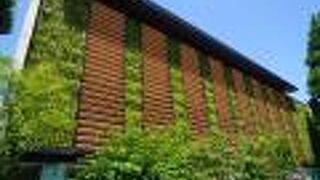 壁面に生きた緑を配する斬新なデザイン