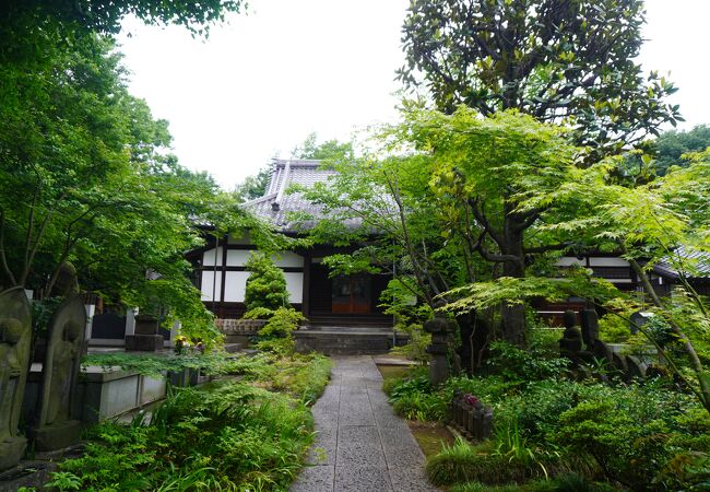 都心にいるのを忘れるような詫びた雰囲気