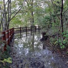 雨が降ると、滝壺への遊歩道はドロドロ。