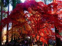 清水寺 (若穂保科)