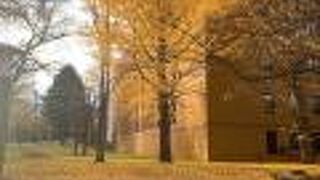 北海道の歴史がわかる