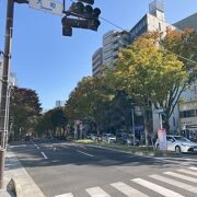 仙台駅から西にのびるケヤキ並木の道路