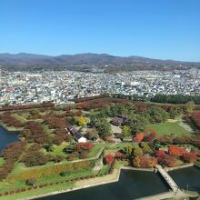 ガラス枠が有るのでこれが精一杯