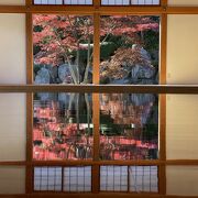 紅葉の床もみじ期間②の週末が凄い混雑です。10時前でも第一、第二駐車場に停められず遠くの臨時駐車場に誘導されます。