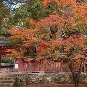 京都:神護寺界隈