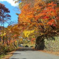 温泉手前の紅葉