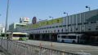 「トゥインクルレース」と銘打ったナイター競馬が人気でした