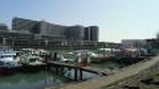 釣り船や屋形船がいくつも係留してある