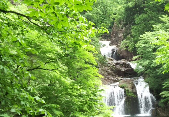 巨岩に挟まれた三曲五段の滝 見ごたえ十分！