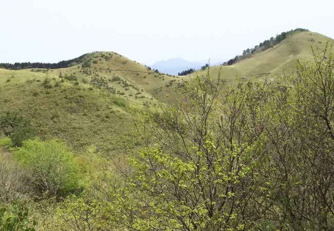 雲月山　気軽に登れる草原の山