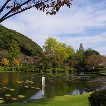 地獄ではありませんが、隣に超美しい蓮池があります。