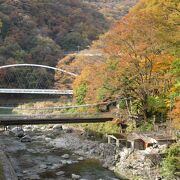 あじさいの花が見られない秋は紅葉も