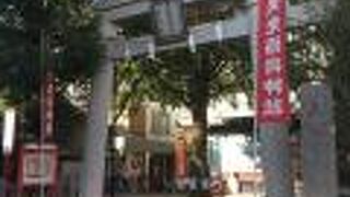 細い木々に囲まれた神社