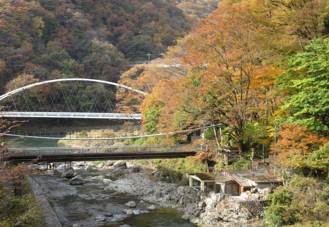 あじさいの花が見られない秋は紅葉も