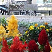 「佐久間橋」の親柱や花壇などささやかな見どころや癒しもあり