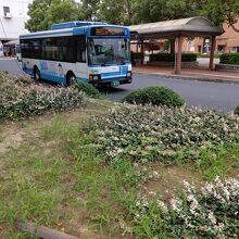 バスターミナルを出発する日ノ丸自動車の路線バス