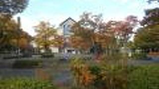 紅葉の木々の中に建つ三角屋根の建物です