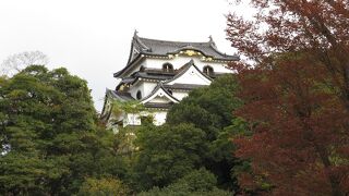 屋形船からも見えました