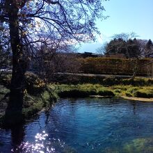 忍野八海と富士山