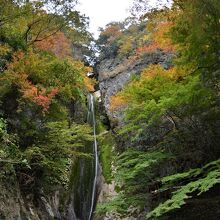 高さは６０ｍある