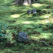 風景