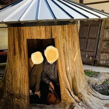 みなさま　中へ入って 木霊 の力を受けています