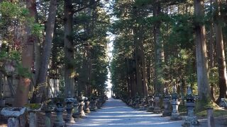 大きな木、歴史ある建物