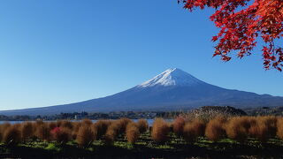 素晴らしい富士山の眺め