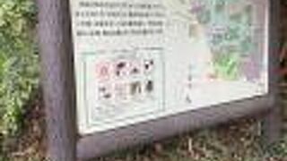 ほとんど人がいなかった