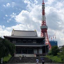 増上寺から撮影