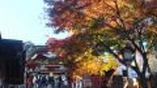 意外にしんどかった