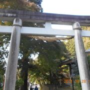 立石寺の参道の途中に日枝神社があり、大きな鳥居をくぐり本殿の前を通って立石寺の山門に行きます
