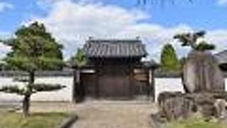 公開は日曜日のみ