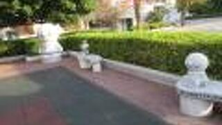 高知らしいものが揃っています