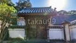 瓦屋根の寺門はどこか趣があってとても素敵です。