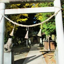 大王神社の鳥居